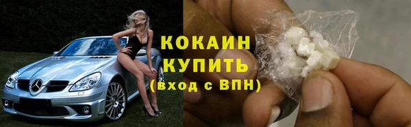 сатива Беломорск