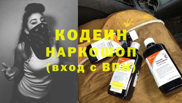 сатива Беломорск