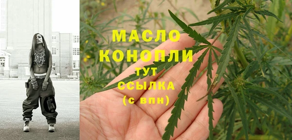 сатива Беломорск